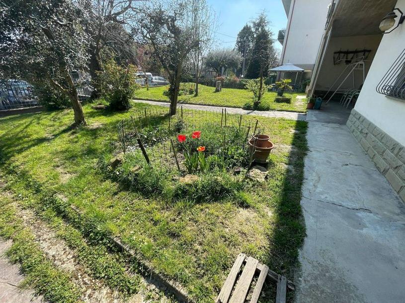  id.5256436