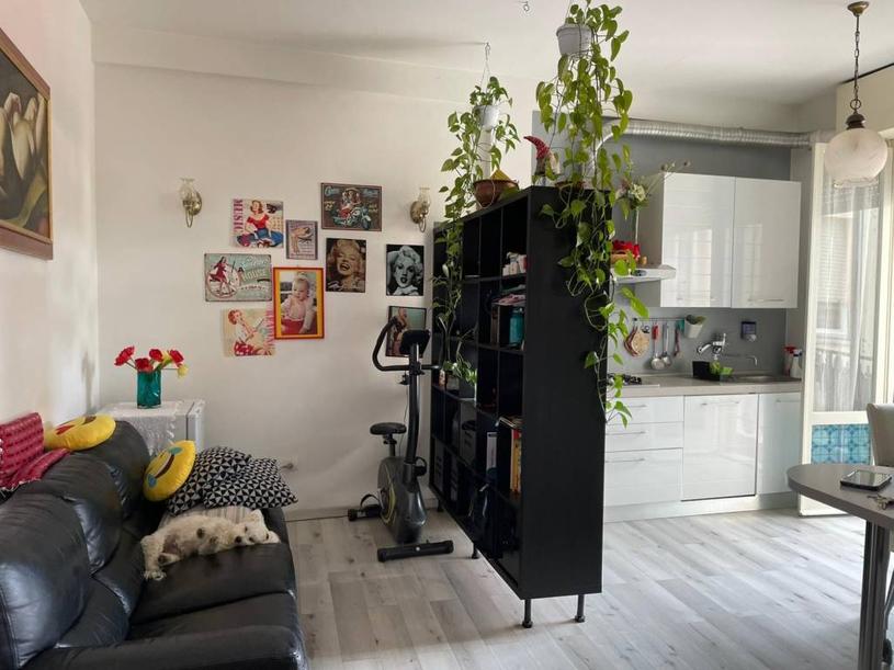  id.5262671