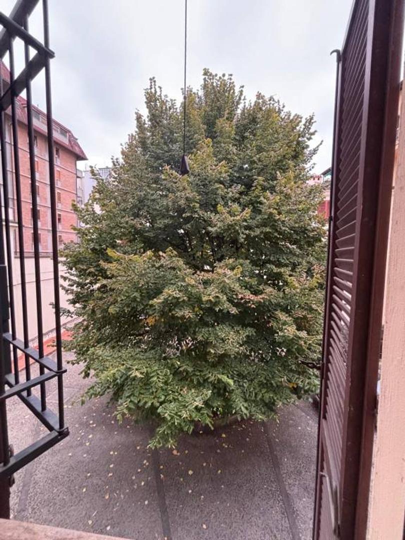  id.5272740