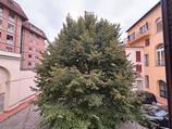 Appartamento in Vendita