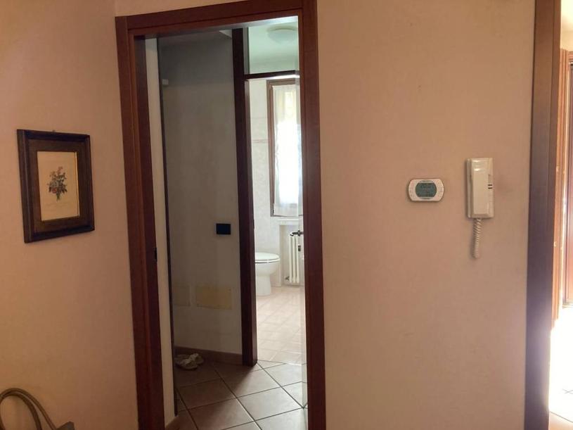  id.5275528