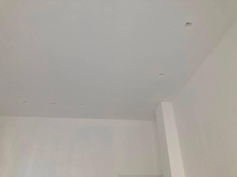  id.5308153