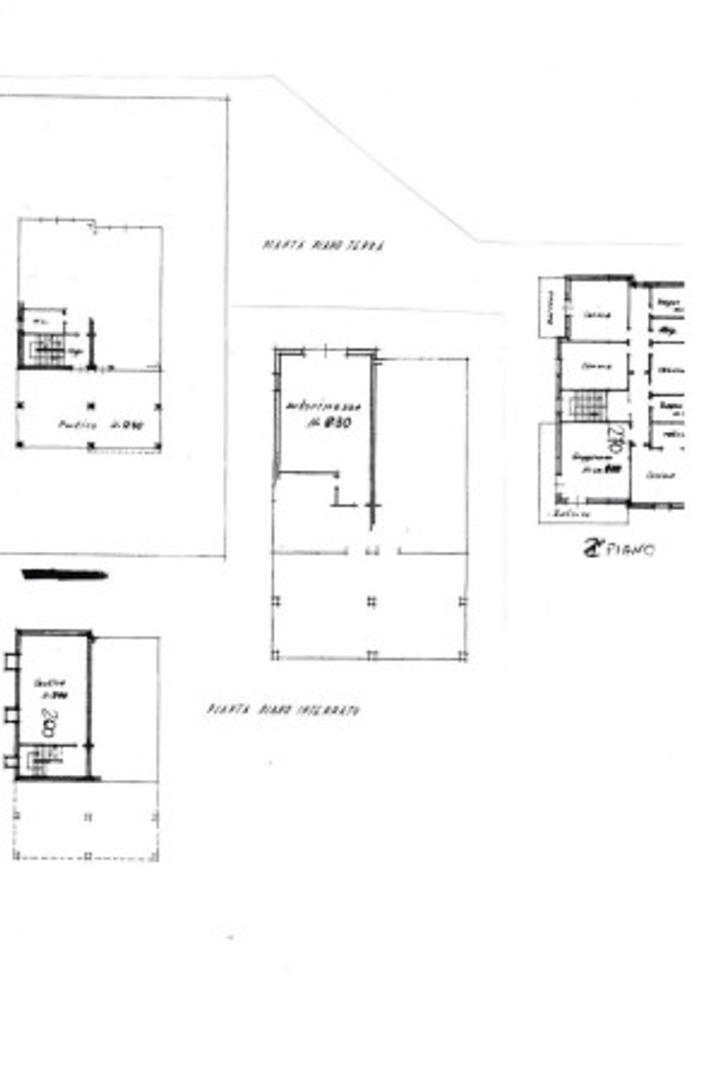  id.5311740