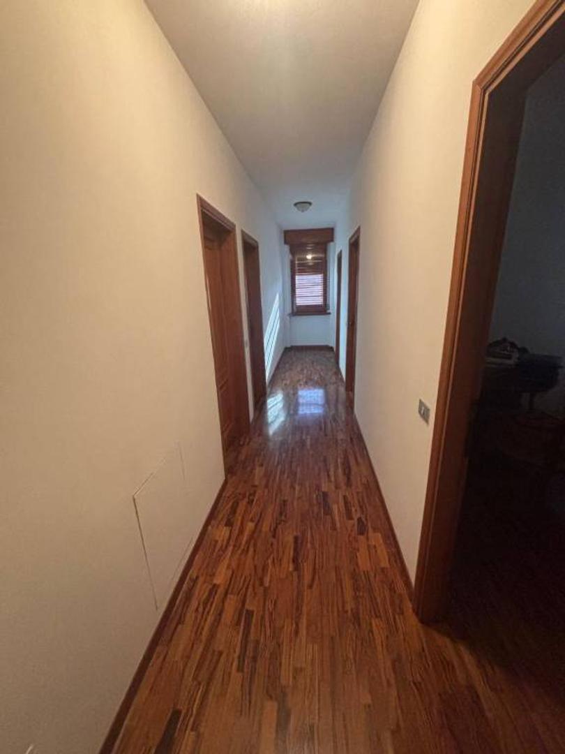  id.5311724