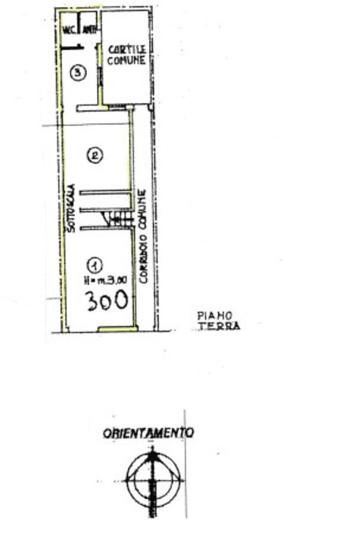  id.5311832